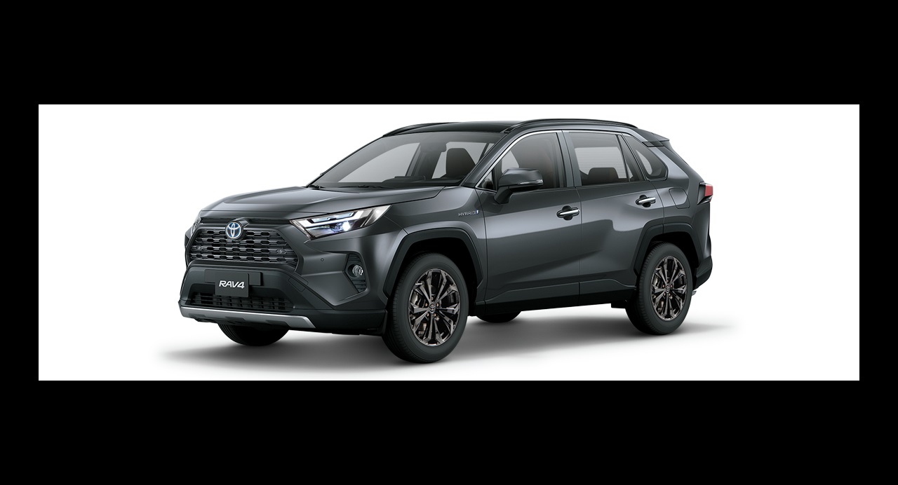 Toyota Rav4 SUV Gray 2019